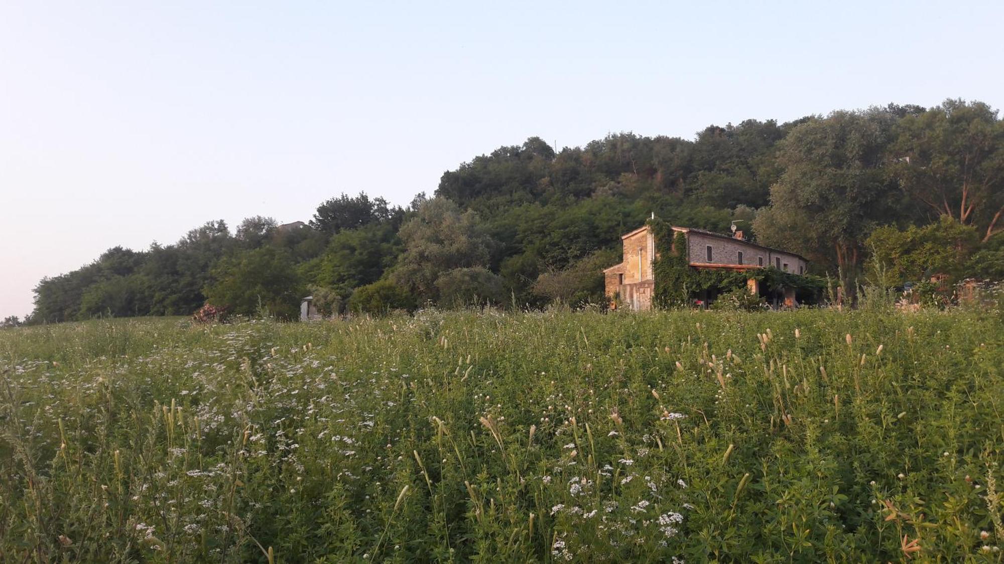 Bed and Breakfast Le Bumbarelle Tavoleto Zewnętrze zdjęcie