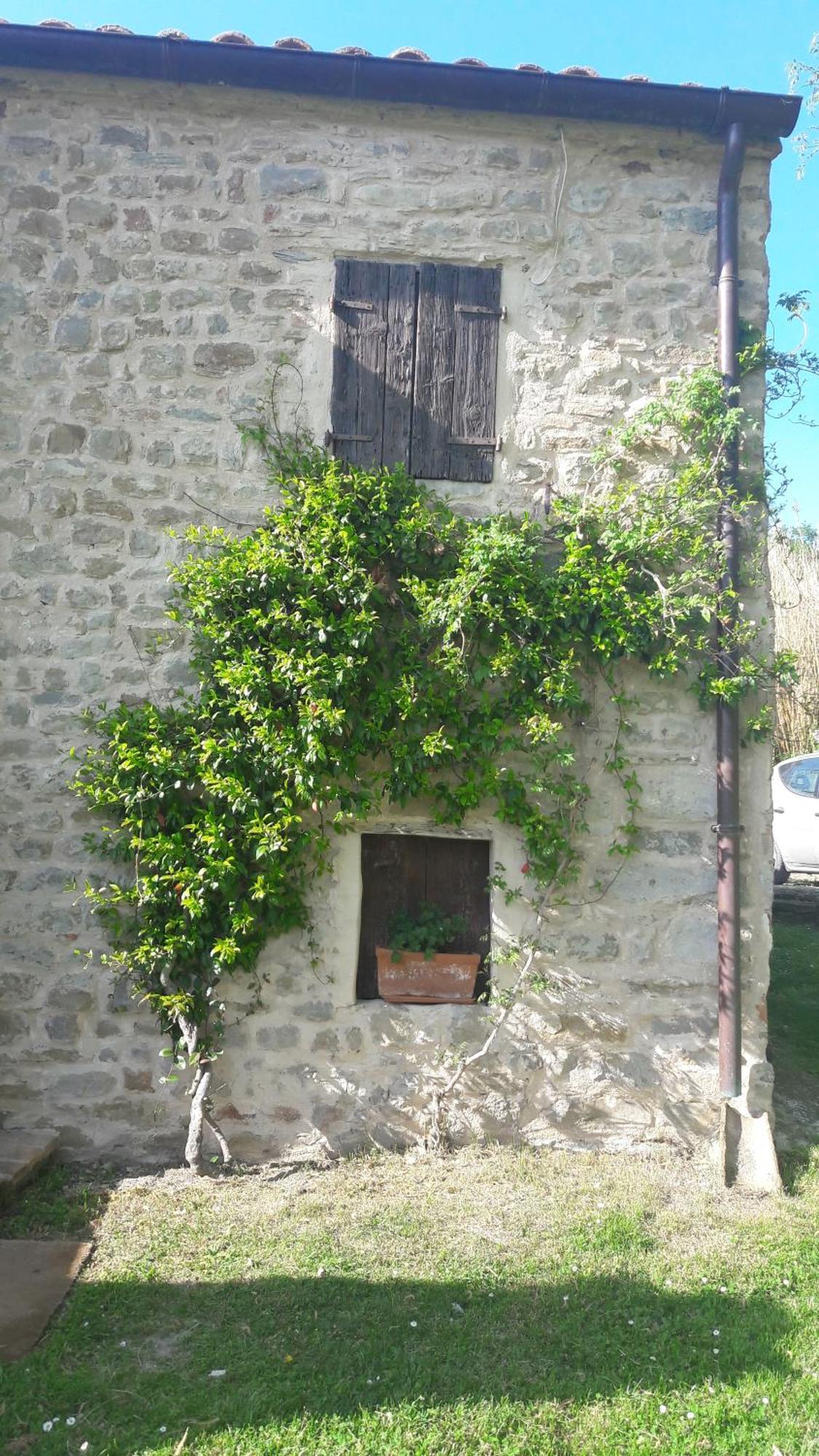 Bed and Breakfast Le Bumbarelle Tavoleto Zewnętrze zdjęcie