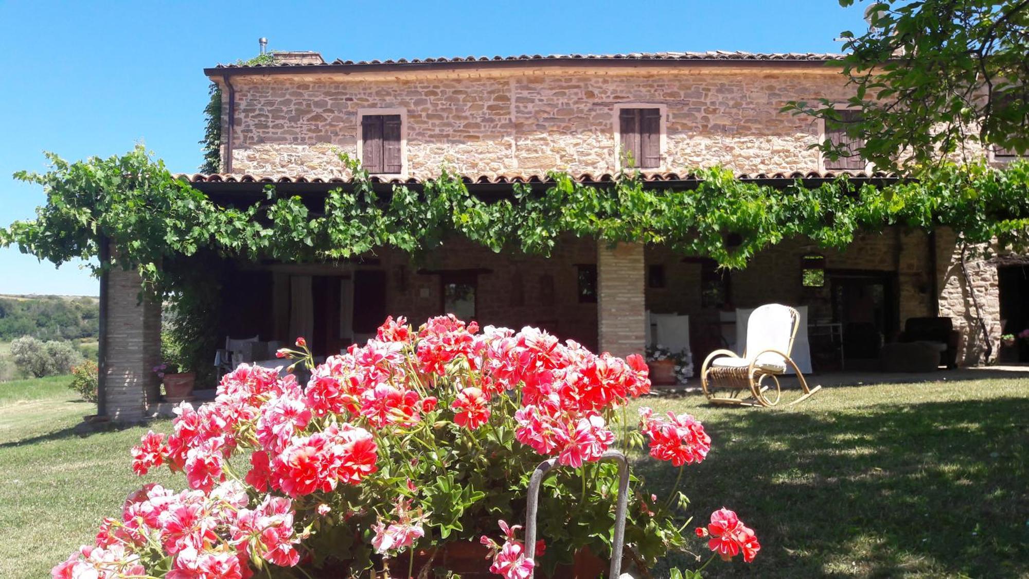 Bed and Breakfast Le Bumbarelle Tavoleto Zewnętrze zdjęcie