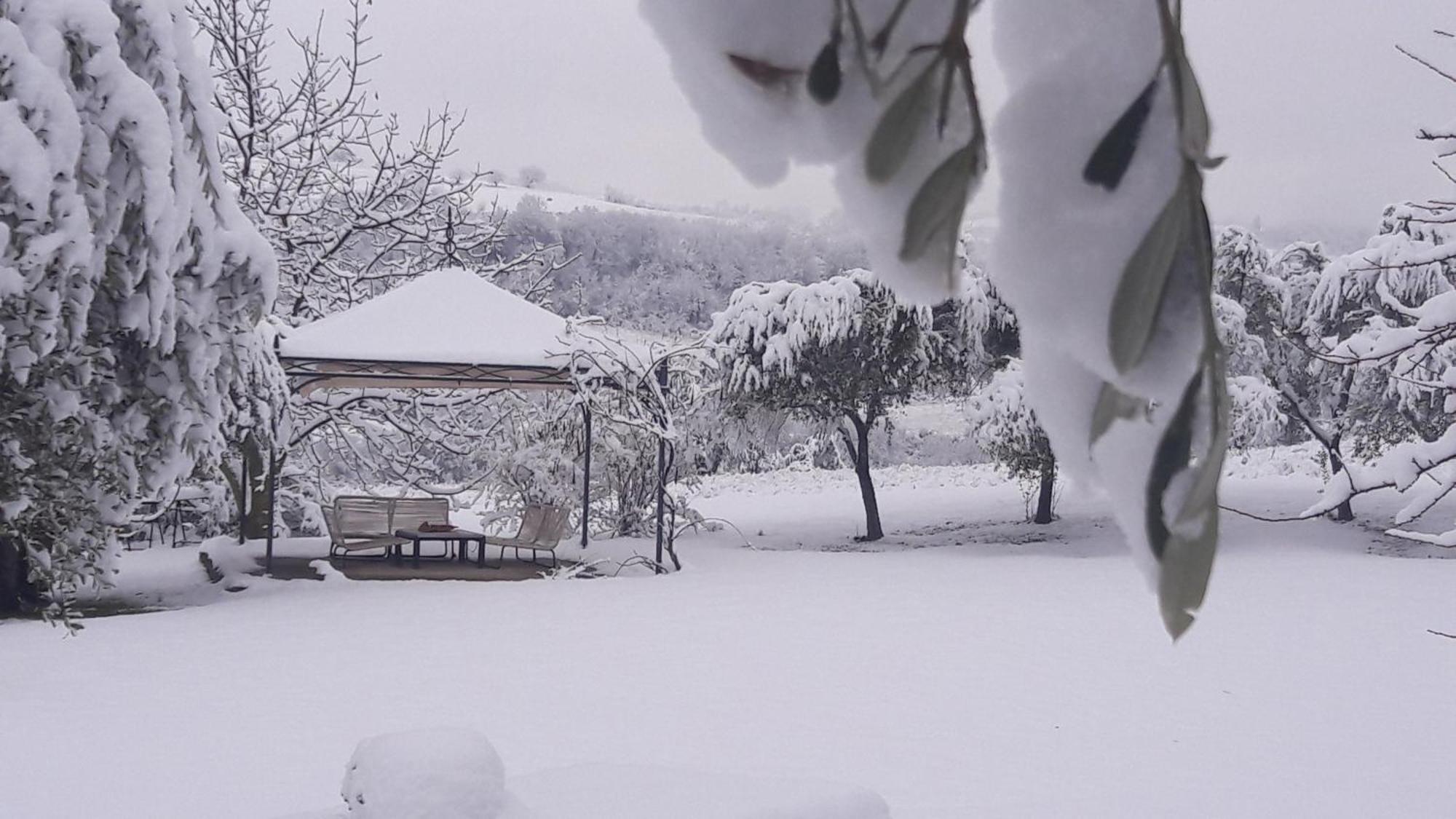 Bed and Breakfast Le Bumbarelle Tavoleto Zewnętrze zdjęcie