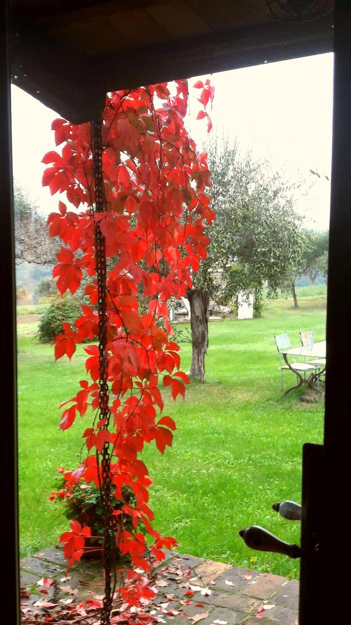 Bed and Breakfast Le Bumbarelle Tavoleto Zewnętrze zdjęcie